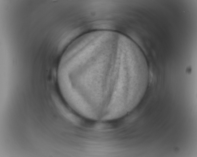 X0000113950109200910161949