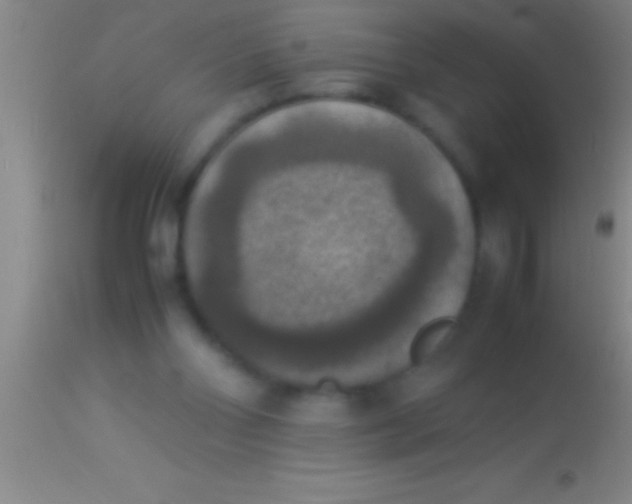 X0000113950110200910161949