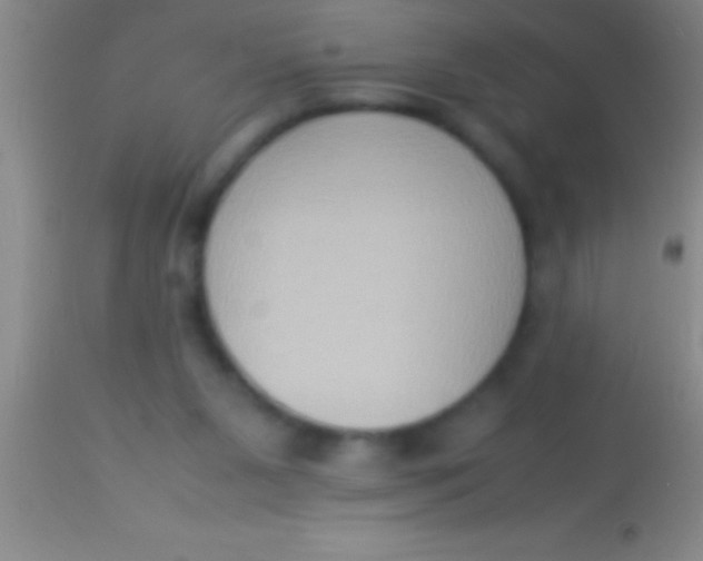 X0000113950111200910161949