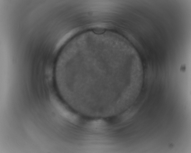 X0000113950112200910161949