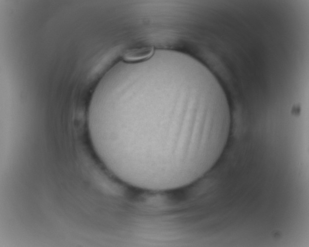 X0000113950113200910161949