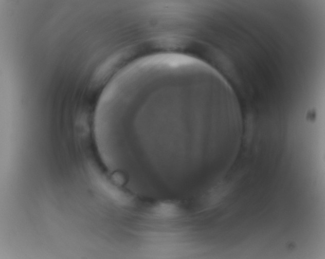 X0000113950114200910161949