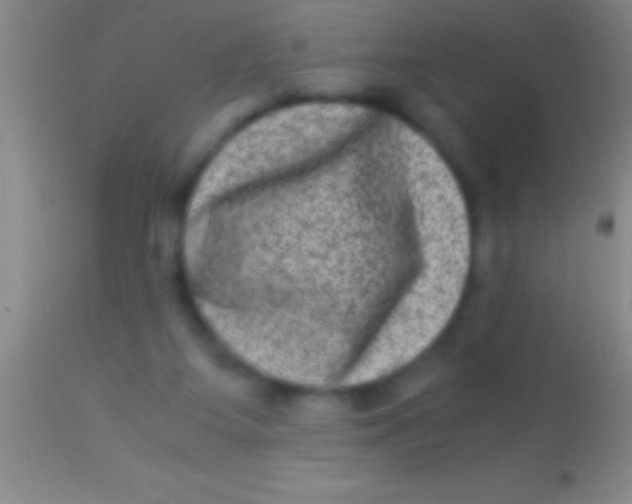 X0000113950115200910161949