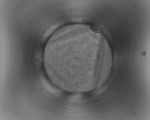 X0000113950116200910161949