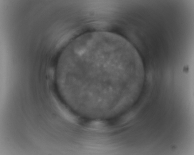 X0000113950117200910161949
