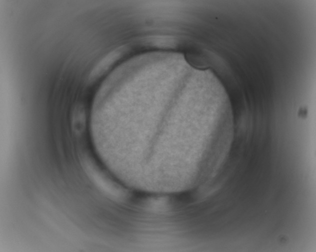 X0000113950120200910161949