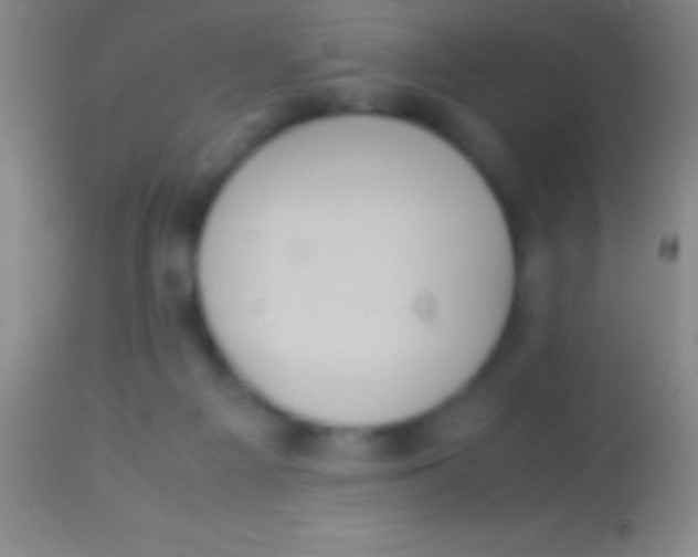 X0000113950121200910161949
