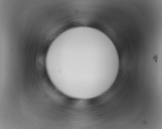 X0000113950122200910161949