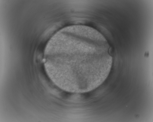 X0000113950123200910161949