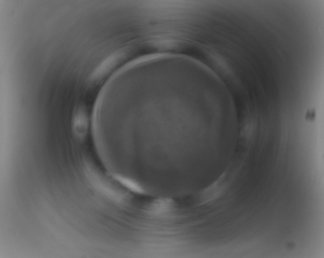 X0000113950124200910161949