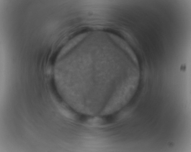 X0000113950125200910161949