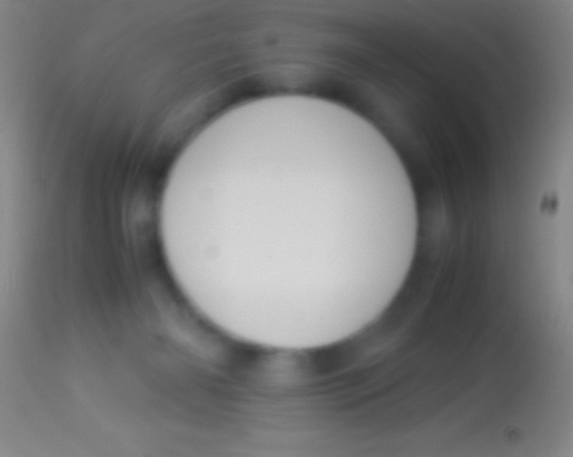 X0000113950126200910161949