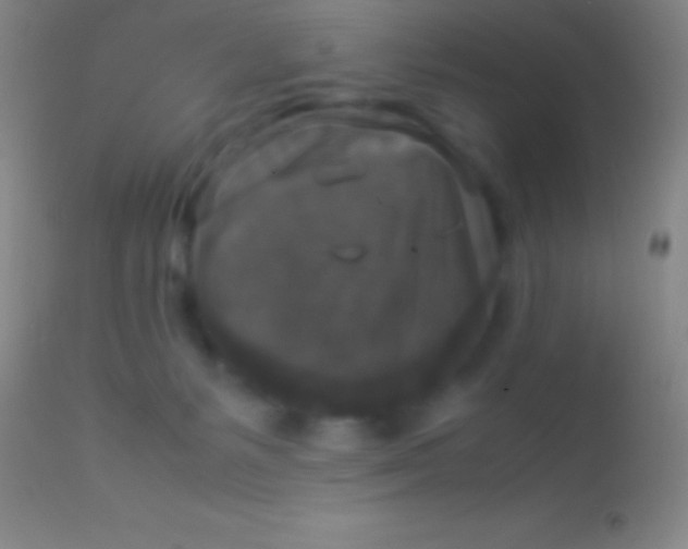 X0000113950127200910161949