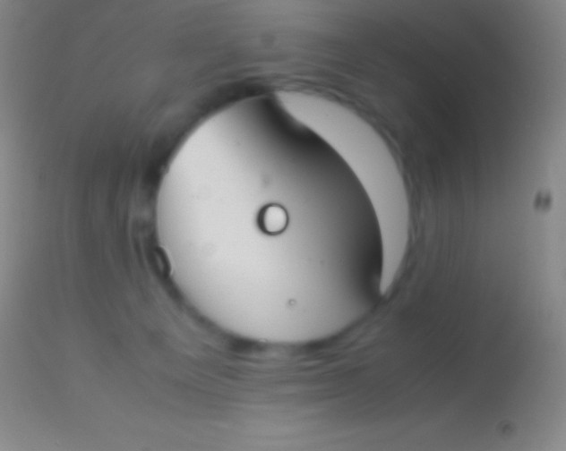 X0000113950129200910161949