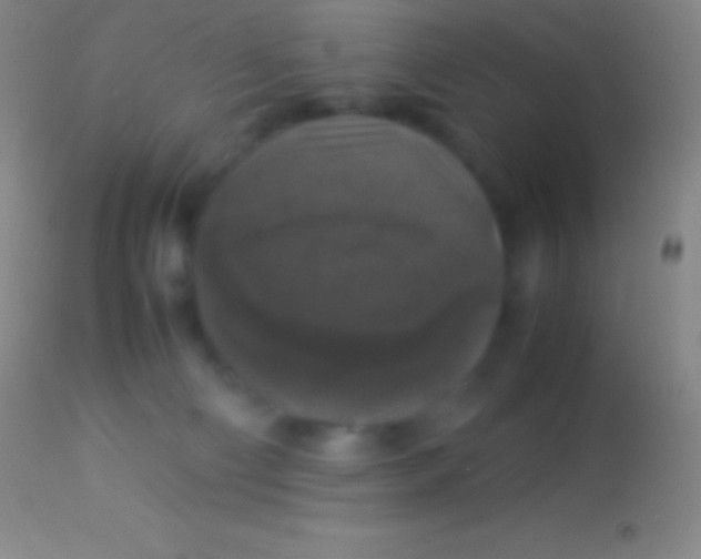 X0000113950130200910161949