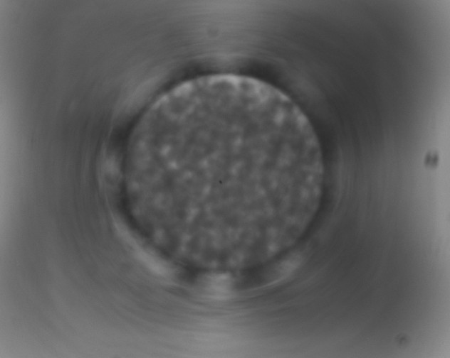 X0000113950131200910161949