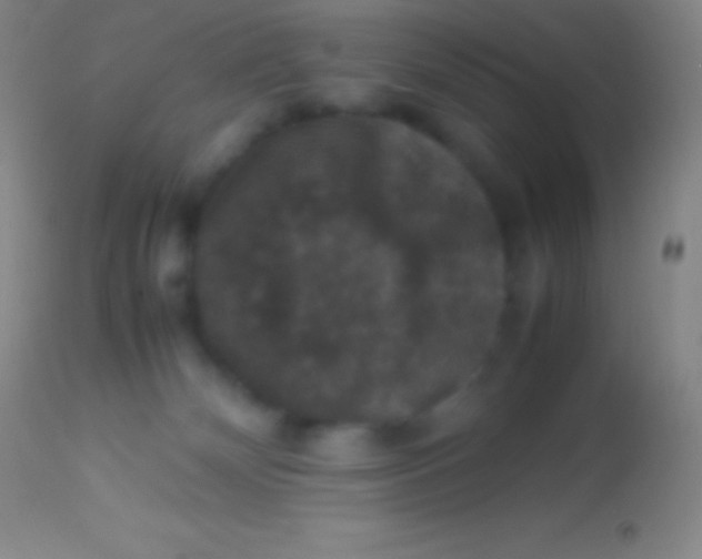 X0000113950132200910161949