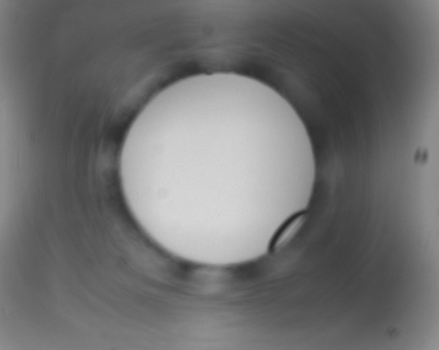 X0000113950133200910161949