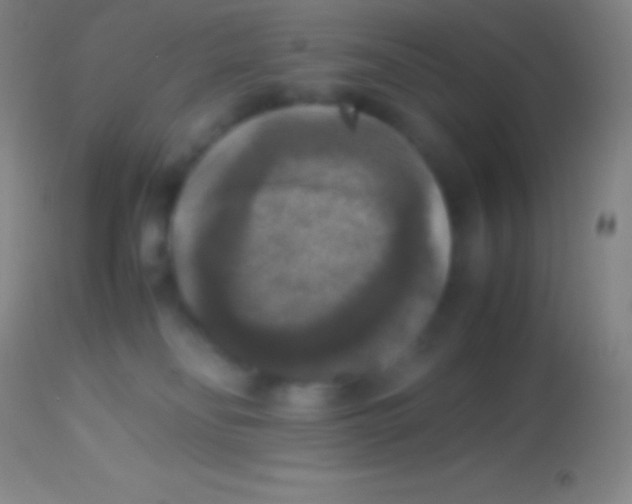 X0000113950134200910161949