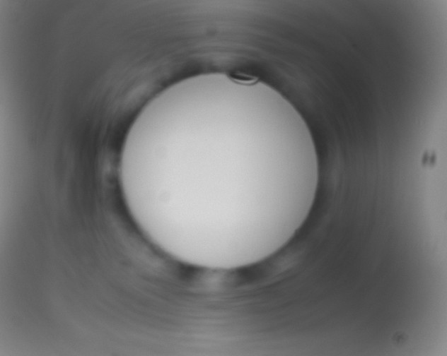 X0000113950135200910161949