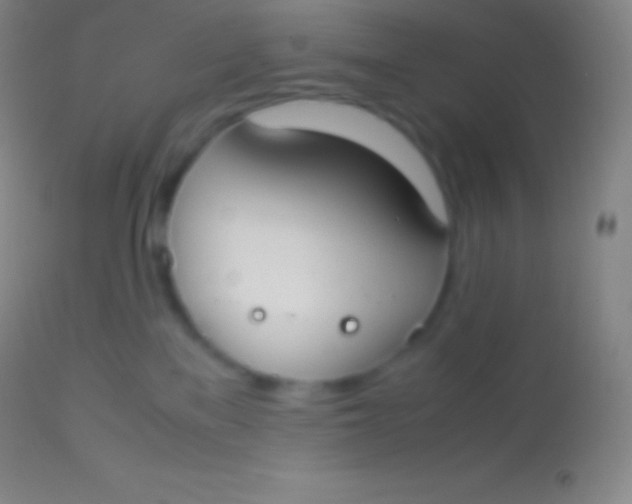 X0000113950137200910161949
