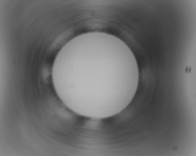 X0000113950138200910161949