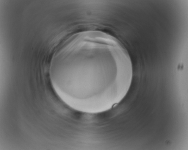 X0000113950139200910161949