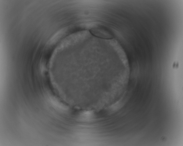 X0000113950140200910161949