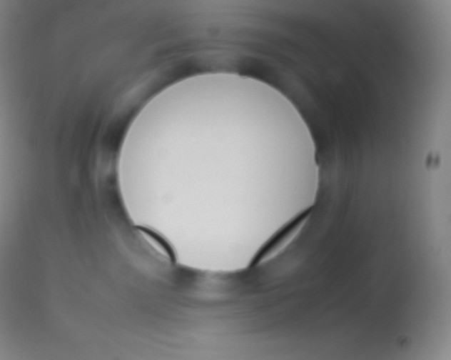 X0000113950141200910161949