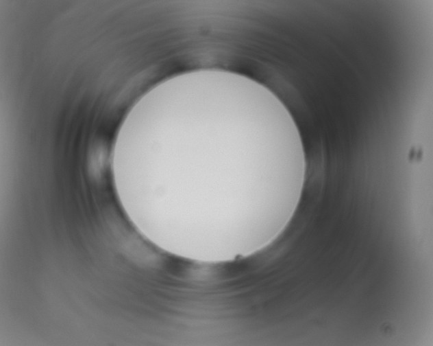 X0000113950142200910161949