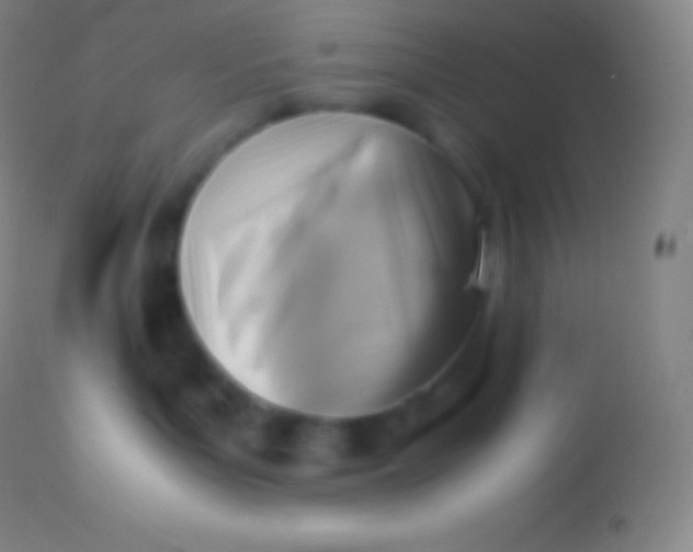 X0000113950143200910161949