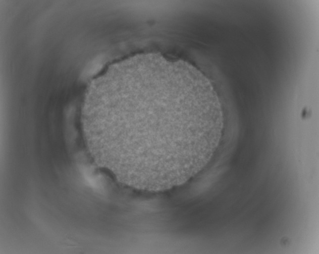 X0000113950144200910161949