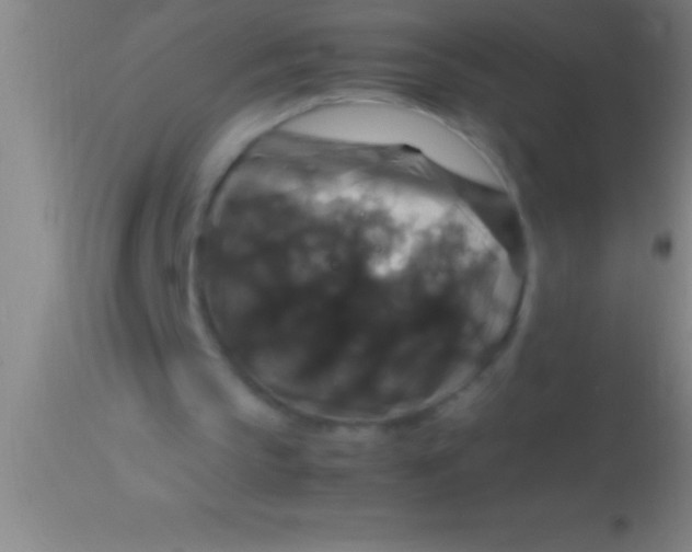X0000113950145200910161948