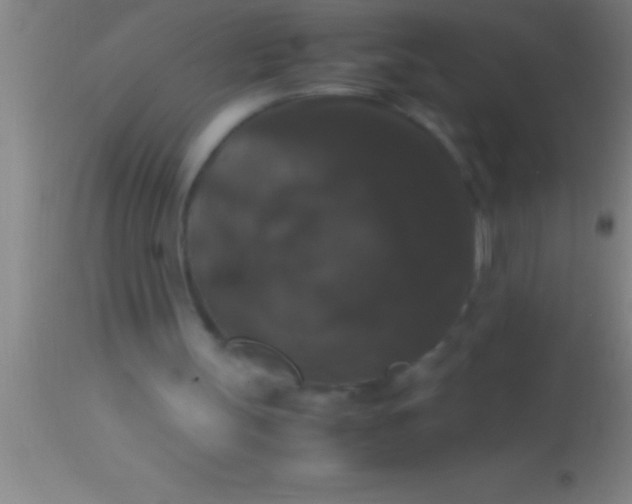 X0000113950147200910161948
