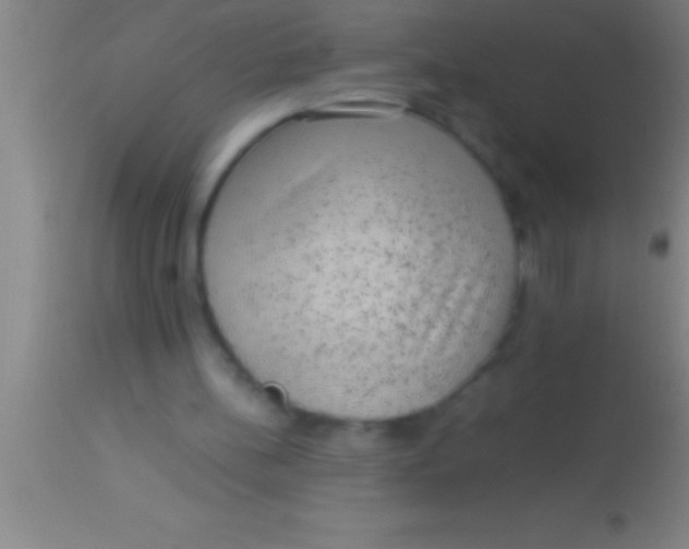 X0000113950148200910161948