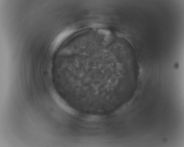 X0000113950149200910161948