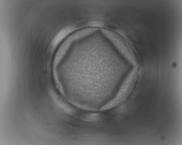 X0000113950151200910161948