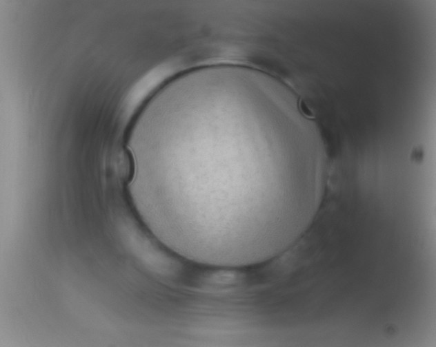X0000113950152200910161948