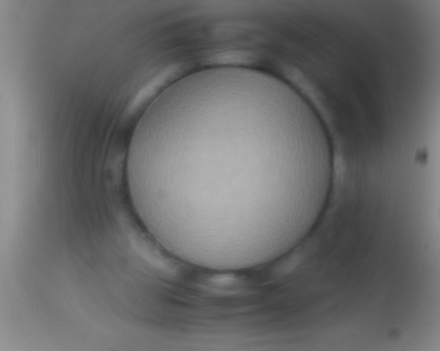 X0000113950153200910161948