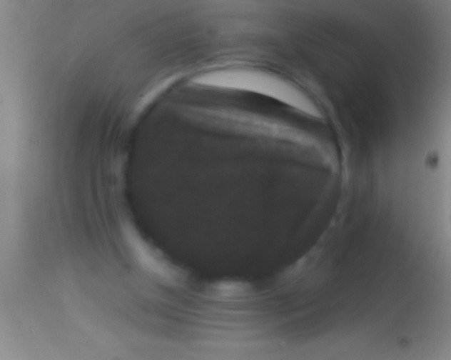 X0000113950154200910161948