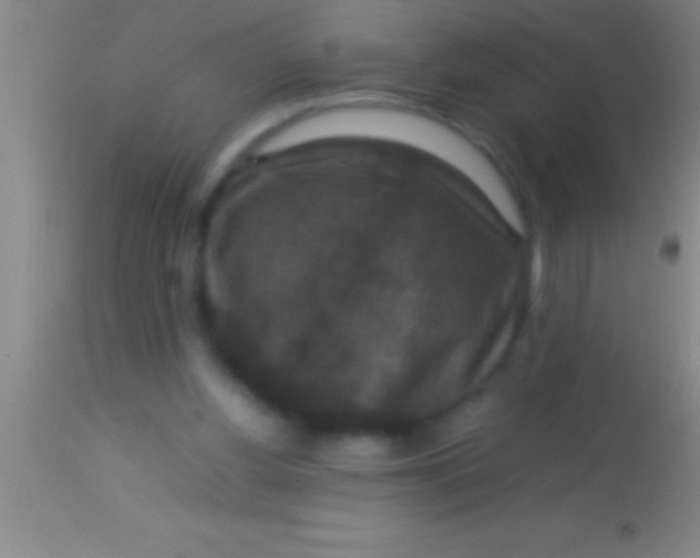 X0000113950156200910161948