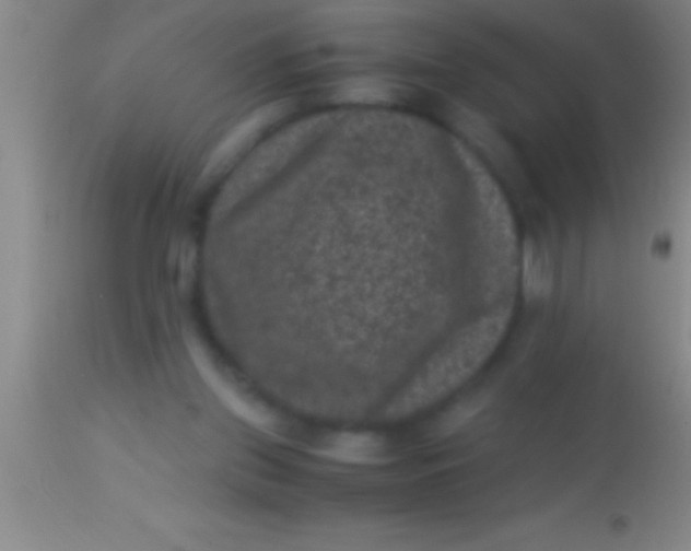 X0000113950157200910161948