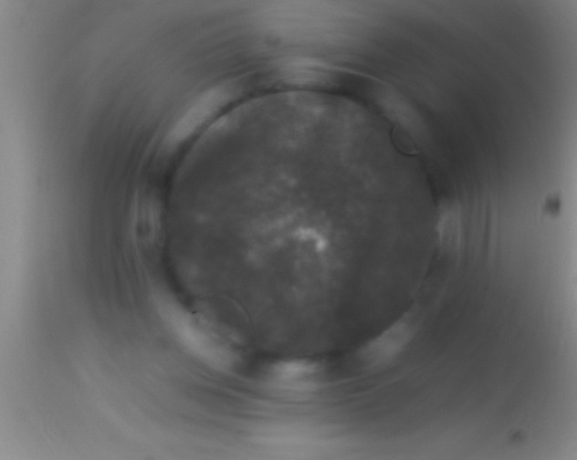 X0000113950158200910161948