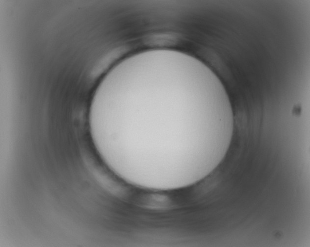 X0000113950159200910161948