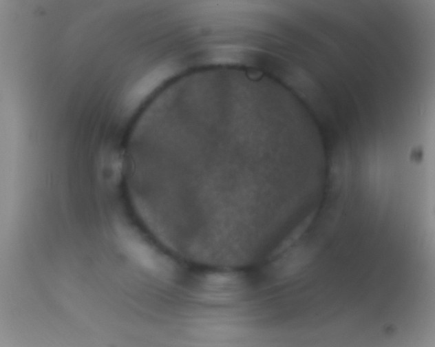 X0000113950160200910161948