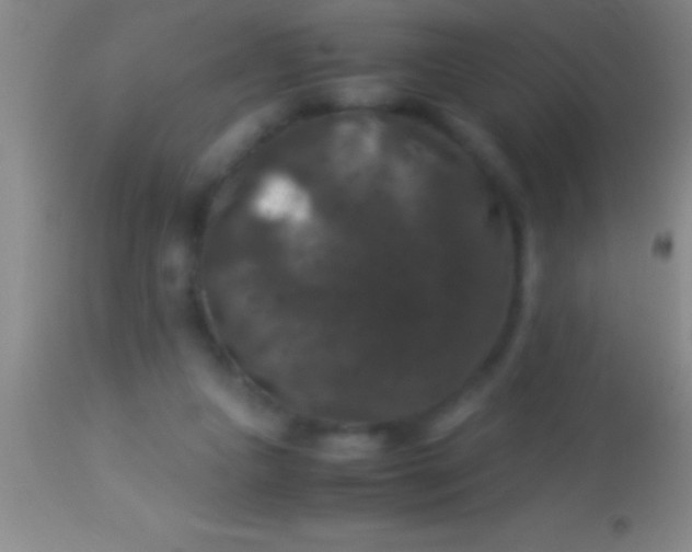 X0000113950161200910161948