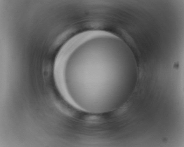 X0000113950163200910161948