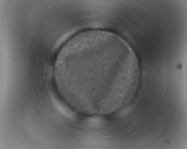 X0000113950164200910161948