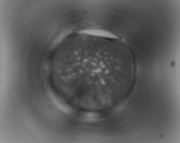 X0000113950165200910161948