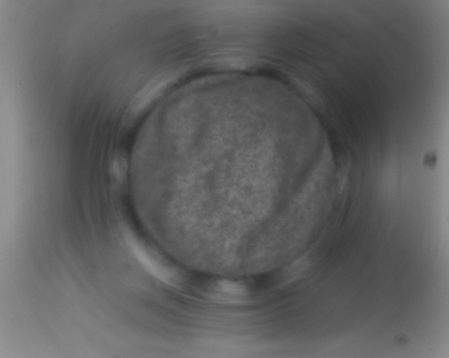 X0000113950166200910161948